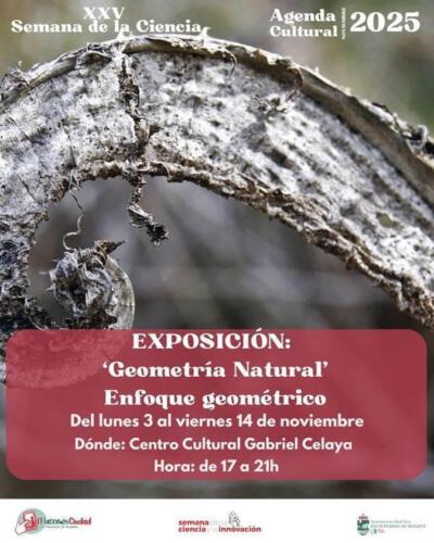 Expo San Fernando 1